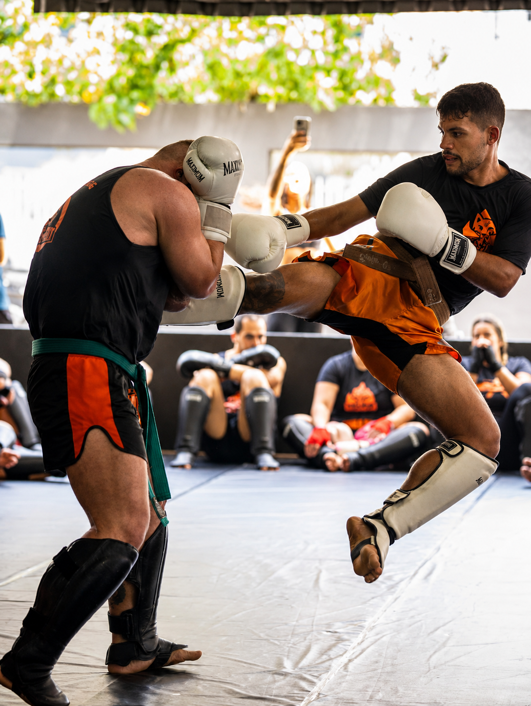 cajado contra chris exame de faixa